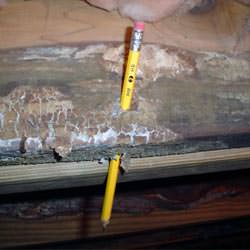 A floor joist with severe mold damage in Wappingers Falls